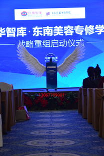 天使翅膀道具活动启动方案 型号规格与会务服务全解析