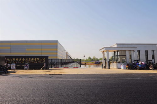 关口前移 服务先行——总口管理区为新员工入厂筑牢疫情防控与公关礼仪双防线